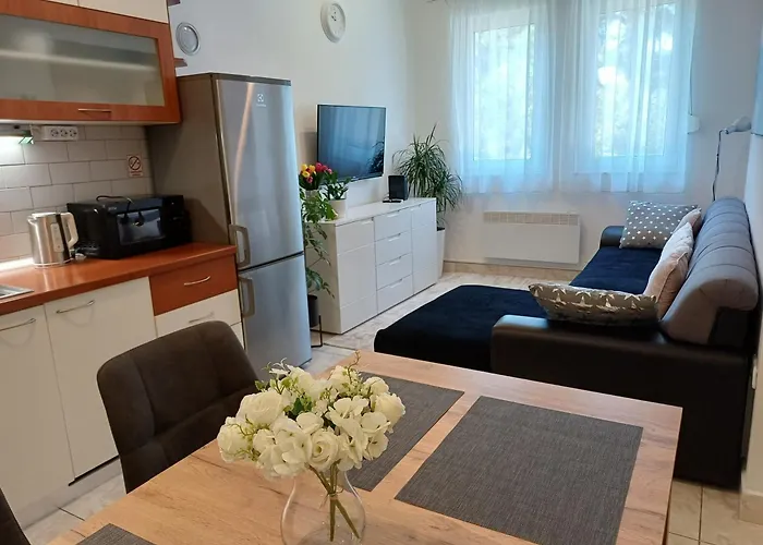 Springjoy Apartman Zára